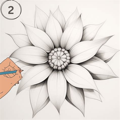 Image result for Drawing Tutorial for Flower