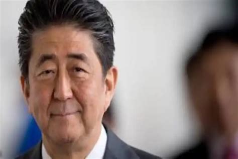 Shinzo Abe's shooter checked out online how to make firearms