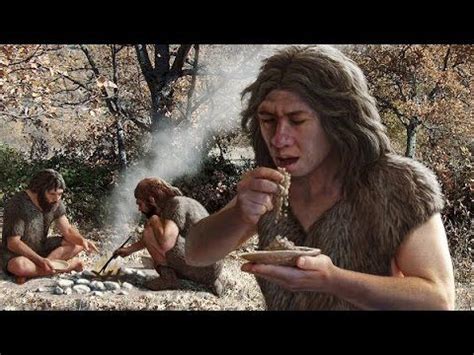 Human Evolution Full Documentary 的图像结果