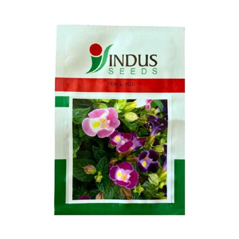 Torenia Pearl Mix Seeds - Indus | F1 Hybrid | Buy Online at Best Price ...