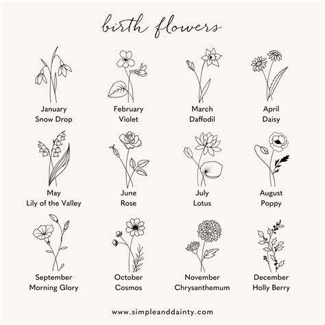 Birth Flower For The Month Of March at Kathy Foley blog