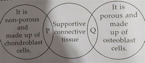 Refer to the given Venn diagram and select the correct statement ...