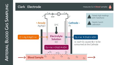 Image result for Clrk Electrode ABG PaO2