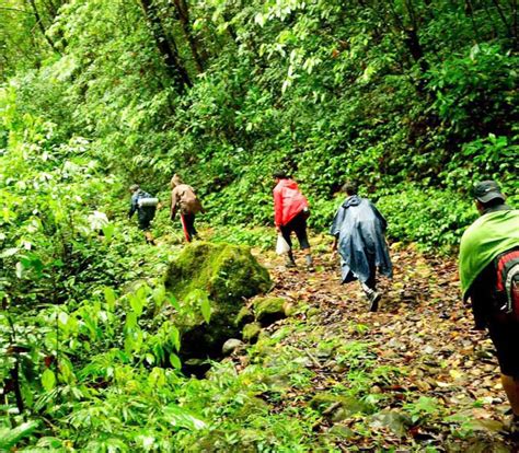 Best Resorts in Shimoga, Luxury Homestay in Shimoga - Forest Edge