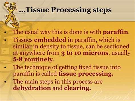Tissue Processing 的图像结果
