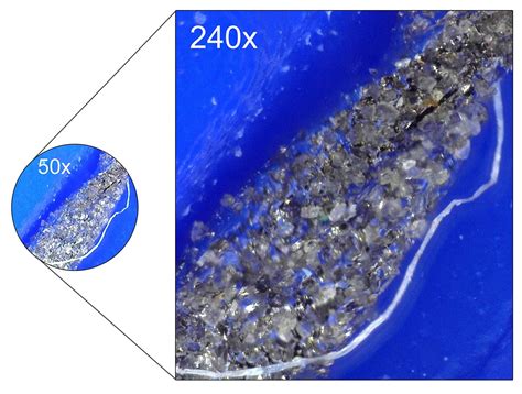 Image result for Magnification Examples