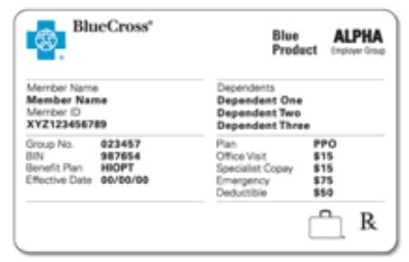 BlueCard Modernization Program 的图像结果