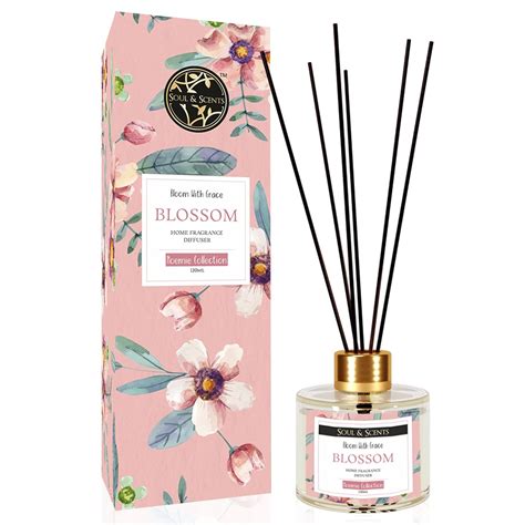 Soul & Scents 120ml Blossom Reed Diffuser Set | Free 6 Fiber Reed ...