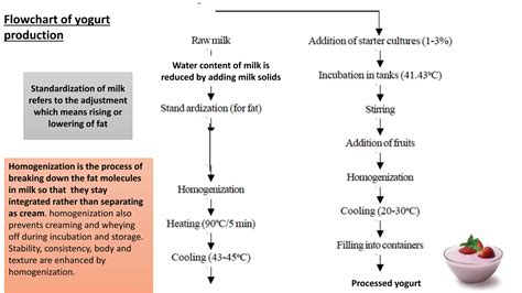 Dairy fermented products | PPTX