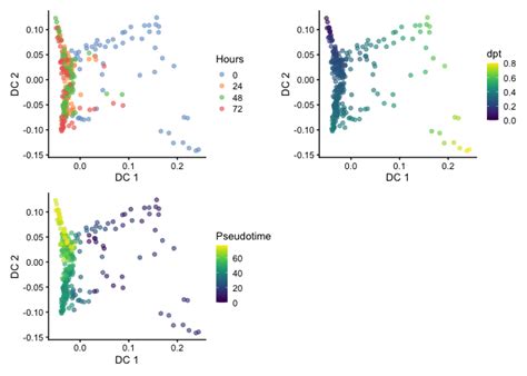 Diffusion Maps Pseudo-Time 的图像结果