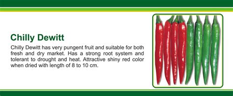 Pariposa Seeds India Pvt. Ltd.