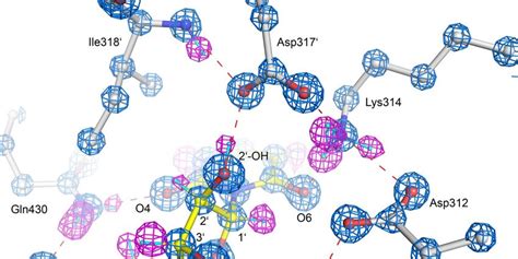 Transition State Analog 的图像结果
