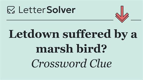 Letdown suffered by a marsh bird? Crossword Clue Answers