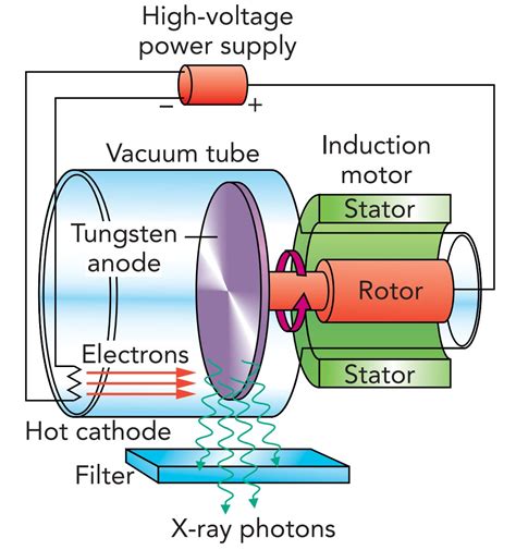 Application in Health Science - Part 1: PHO303