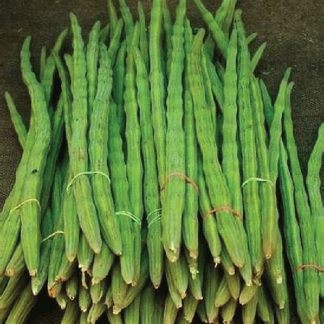 Fruits And Vegetables | Pacho Group