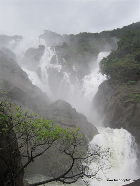 Dudhsagar Waterfalls and Trekking