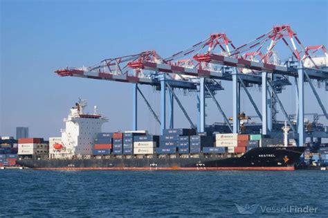 KESTREL, Container Ship - Details and current position - IMO 9626558 ...