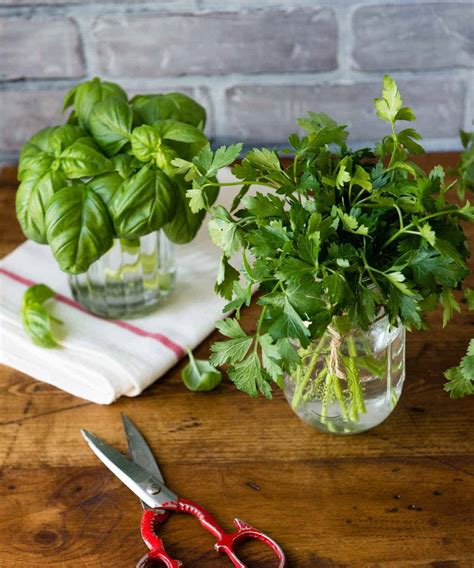 Guide to Fresh Herbs | Storing, Recipes + Benefits