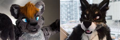 Image result for Solus Astorius