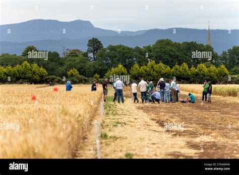 Farming Learning 的图像结果