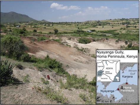 Intriguing discovery of ancient tools, butchery, and hominin teeth in ...