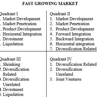 Image result for Strategy Matrix Example