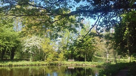 Nice for a dog walk - Reviews, Photos - Abney Hall Country Park ...