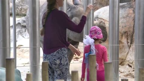 Brevard Zoo offering free admission to kids in August, September