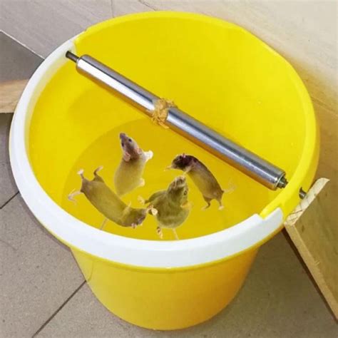 Image result for Mouse Bucket Device