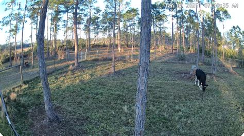 Image result for Security Camera Resolution