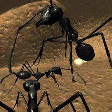 Image result for Ant Simulation JavaScript
