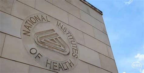 Serial Brain 2 的图像结果