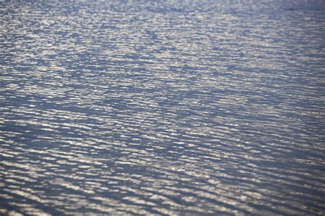 Poly Sea Texture 的图像结果