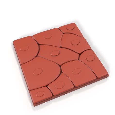 Squamous Epithelium for 3D Print 3D | 3D Molier International