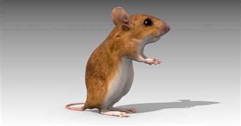 Image result for Unity Mouse