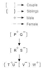 12 Min Test: Blood Relations Free MCQ Practice Test with Solutions ...