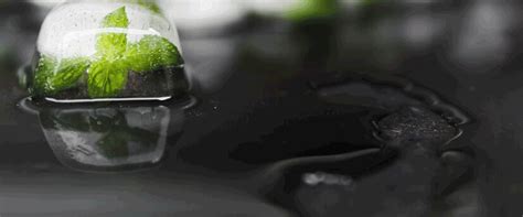 Growing Backlash Against Human Waste Fertilizer Over PFAS Contamination