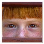 Image result for Portrait Photography Tutorials