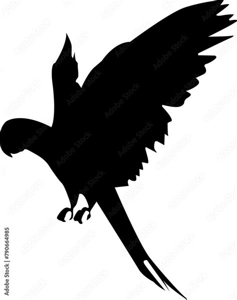 Rezultat imagine pentru Library Animation Transparent