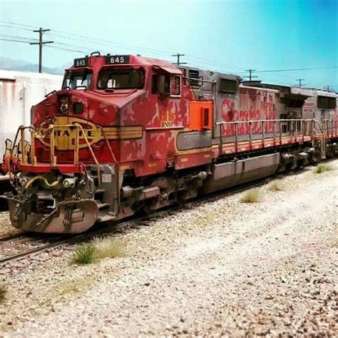 Custom Model Trains 的图像结果