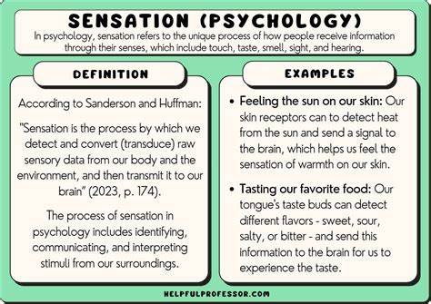 The Psychology of Sensory Focus in Sweat Porn Consumption