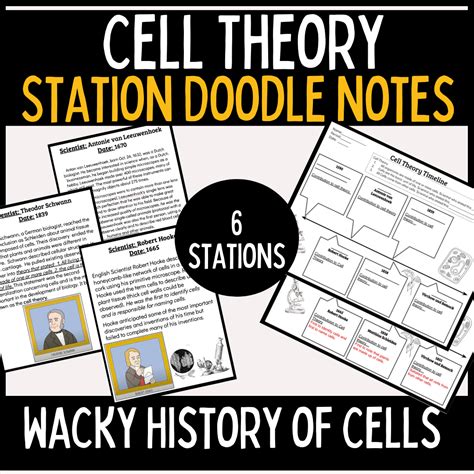 Image result for Cell Theory Explained
