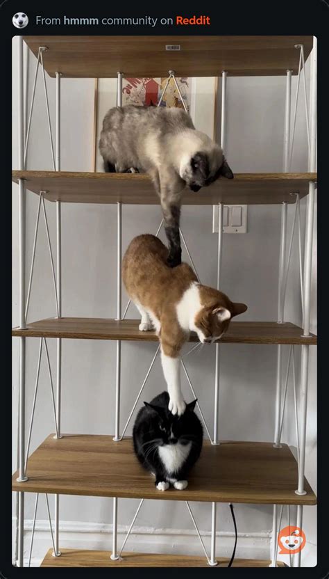 Computer Science Memes 的图像结果