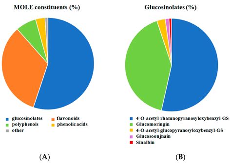 Moringa oleifera Leaf Extract Protects C2C12 Myotubes against H2O2 ...
