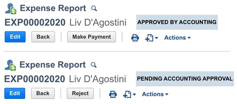 NetSuite Expense Report 的图像结果