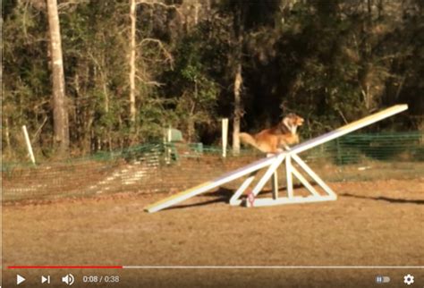 Teeter Problems 的图像结果