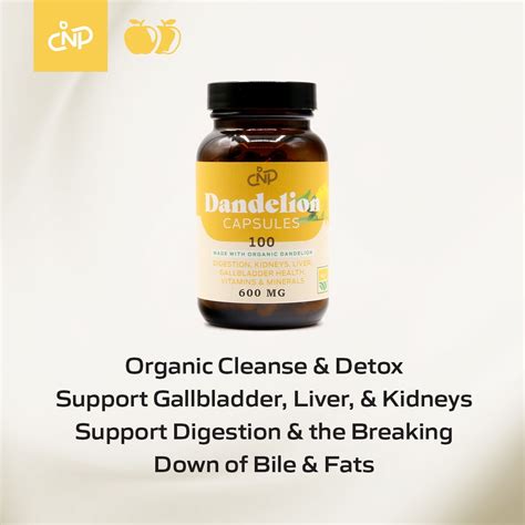 Buy Organic Dandelion Root Capsules - 600mg Capsules 100 Pills Pure ...