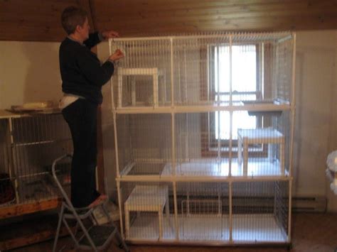 Image result for PVC Cat Enclosure