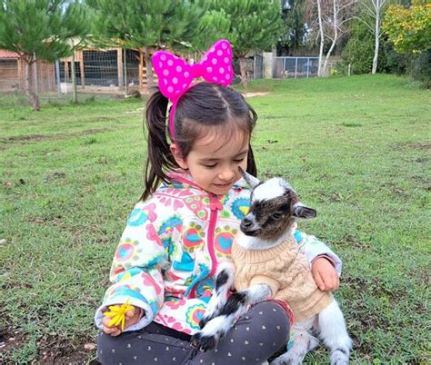 QUINTA DO BAMBY (Espite) - Hotel Reviews & Photos - Tripadvisor