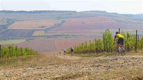 Cycling Bike Outdoor 的图像结果